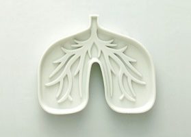 frances-de-man-receives-prestigious-award-for-her-research-on-pulmonary-hypertension