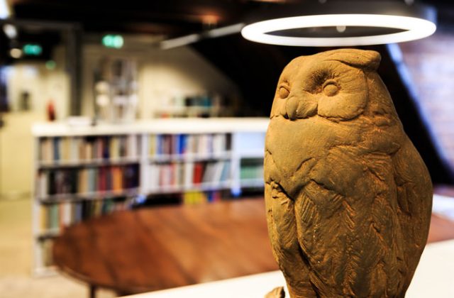 Owl in the  NIAS Library