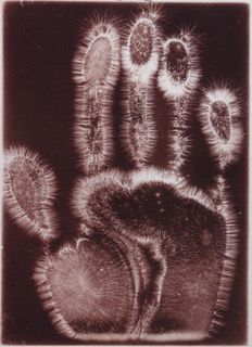 Jakob von Narkiewicz-Jodko, “Effluvia from an Electrified Hand Resting on a Photographic Plate” (1896). Société Astronomique de France. Jakob von Narkiewicz-Jodko, “Effluvia from an Electrified Hand Resting on a Photographic Plate” (1896). Société Astronomique de France.