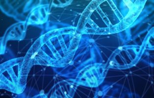 Mendelian Randomization