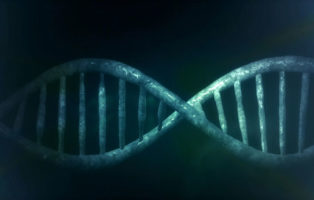 Standards for Mendelian Randomization