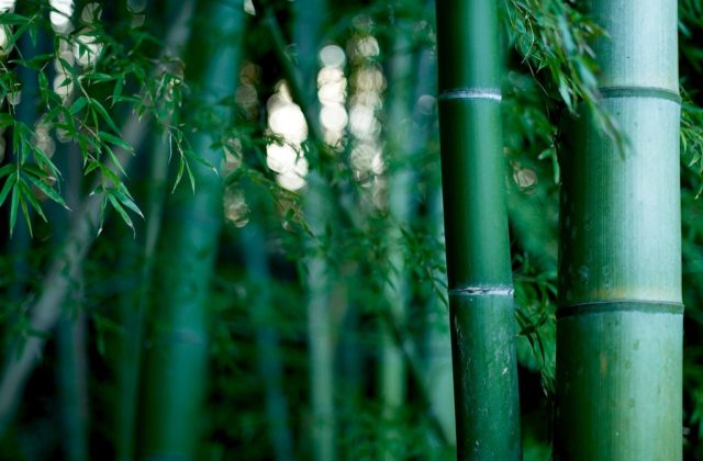 Bamboo Murmers