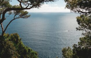 Voices from the Mediterannean