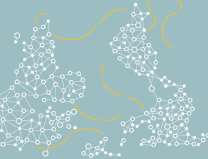 NIAS Conference 2023 Belonging & Mobility Header NIAS symposium Belonging to Academia