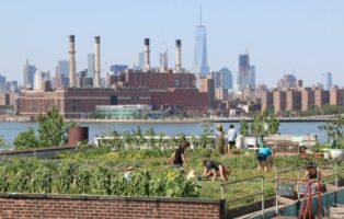 Urban Farming 3