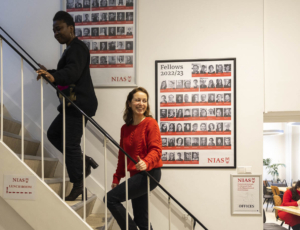 Fellows posters at the NIAS office