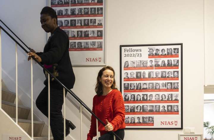Fellows posters at the NIAS office
