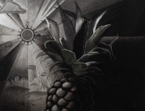 Dylan Altamiranda, Conifer Cone, From the project First voyage around the marvellous, Charcoal on paper, 56 x 76 cm, 2024