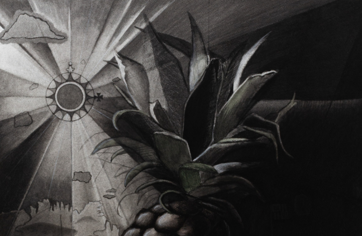 Dylan Altamiranda, Conifer Cone, From the project First voyage around the marvellous, Charcoal on paper, 56 x 76 cm, 2024 Dylan Altamiranda, Conifer Cone, From the project First voyage around the marvellous, Charcoal on paper, 56 x 76 cm, 2024
