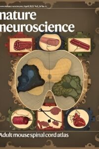 Increasing the statistical power of animal experiments with historical control data