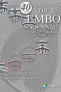3D imaging for driving cancer discovery