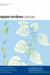 Resolving the spatial heterogeneity of cancer in 3D