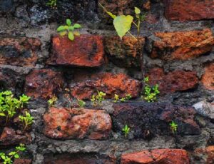 NIAS bookcover_23RA.pdf