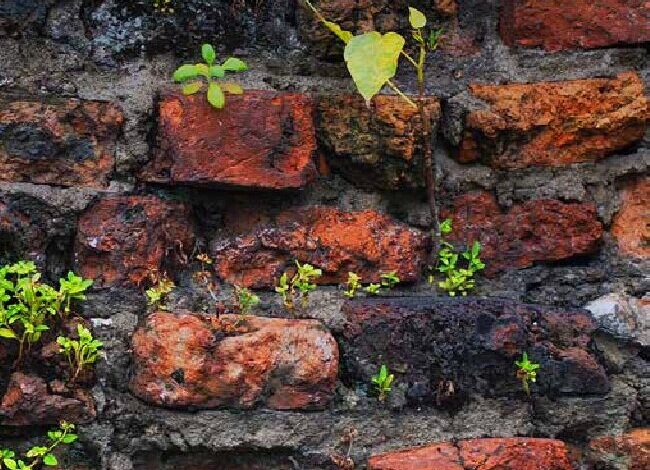 NIAS bookcover_23RA.pdf