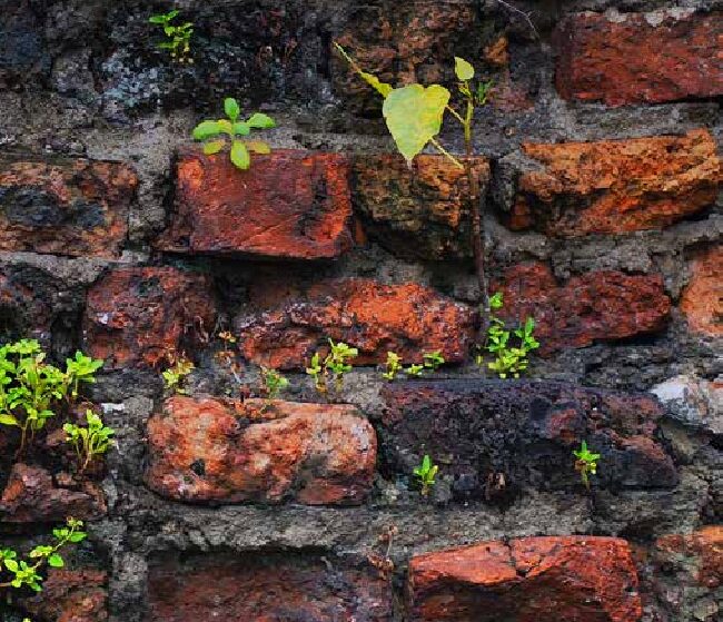 NIAS bookcover_23RA.pdf