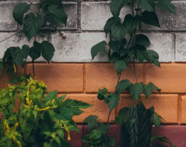 Presentation & Conversation NIAS Book Series Doing Ethnography