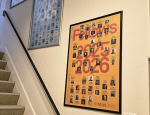 Opening space for bold ideas: NIAS fellowship calls now open 1