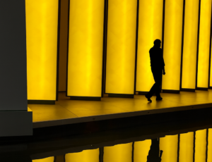 Citizenship in Nativist Times 1