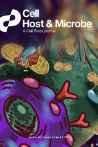 Rethinking microbiome health through  functional dynamics