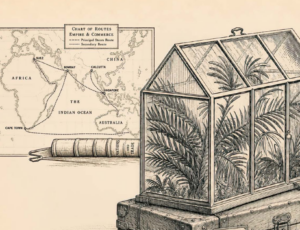 Colonialism in science 1